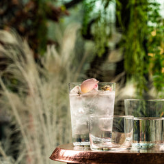 Collection image for: Waterglazen