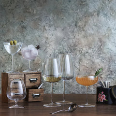 Collection image for: Luigi Bormioli Speakeasies Swing