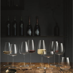 Collection image for: Luigi Bormioli I Meravigliosi