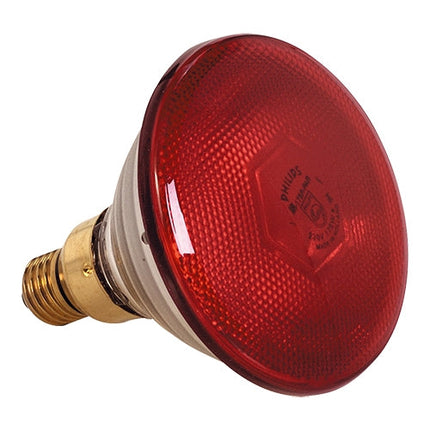 EMGA Warmtelamp rood 175W – rode infraroodlamp om gerechten warm te houden