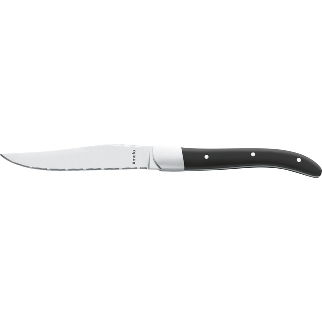 Amefa Royal steakmes 25 cm – stevig rvs vleesmes voor steakhouse en grill