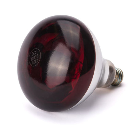 Warmtelampinfrarood 250W rood 1/box
