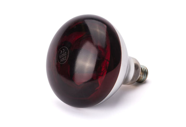 Hendi warmtelamp infrarood 250W rood – rode warmhoudlamp voor buffet en cateringlijn