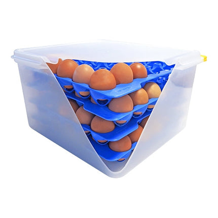 Eierbewaardoos 2/3 GN, 8-Trays