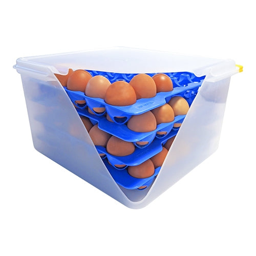 Eierbewaardoos 2/3 GN, 8-Trays