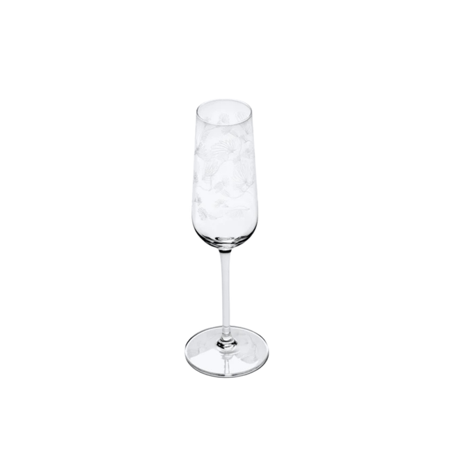 Champagne Flute Camelia Aubergine Mf 4/box