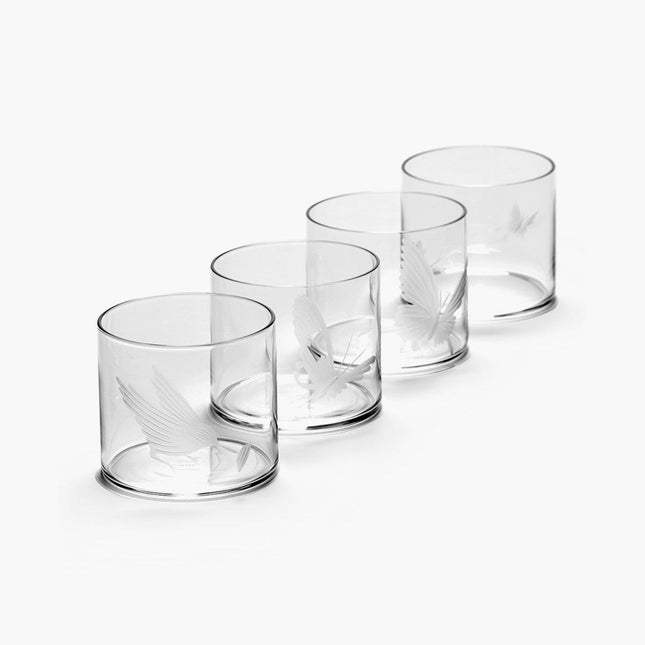 Tomorrowland Tumbler Different Engravements Ass/4 12/Box