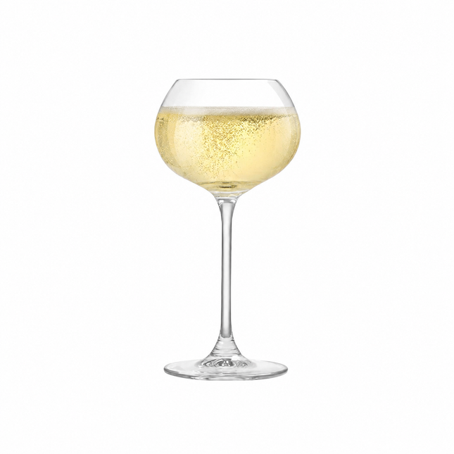Royal Leerdam Experts' Collection Coupe Sparkling 270 ml – champagnecoupe voor bubbels in de horeca