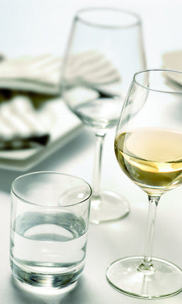 Onis Fortius Wine glas 370 ml sfeerbeeld wijnglas professionele horeca