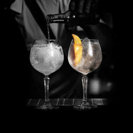 Onis SPKSY Gin & Tonic glas 580 ml sfeerbeeld cocktailglas professioneel horecaglas