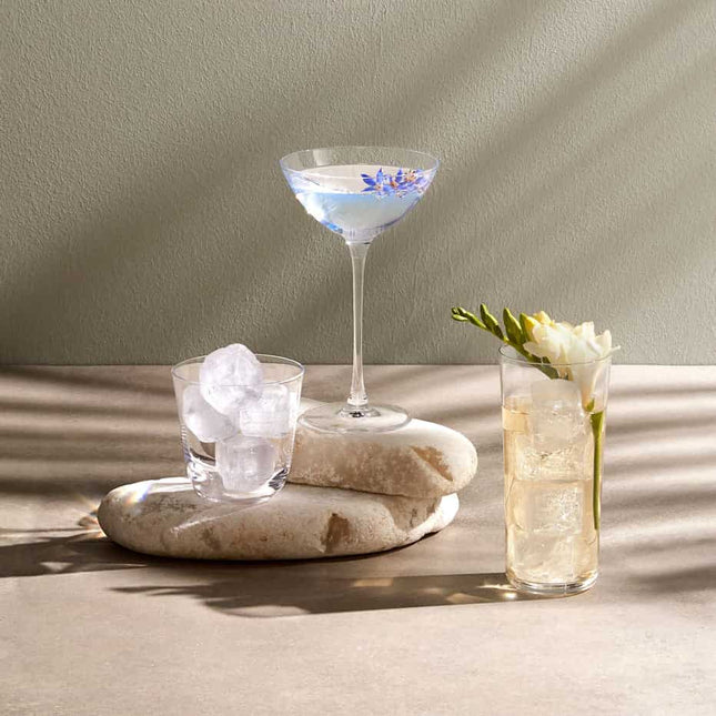Nude Rémy Savage coupetini 170 ml – kristallen cocktailglas voor Martini en aperitieven