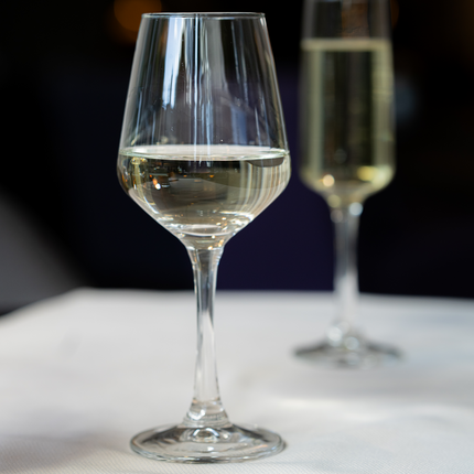 Onis Skyline wine glas 365 ml close-up professioneel wijnglas horeca