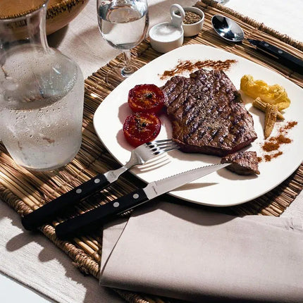 Amefa Pizza 7000 steakmes 21 cm – stevig mes voor pizzeria en grillrestaurant