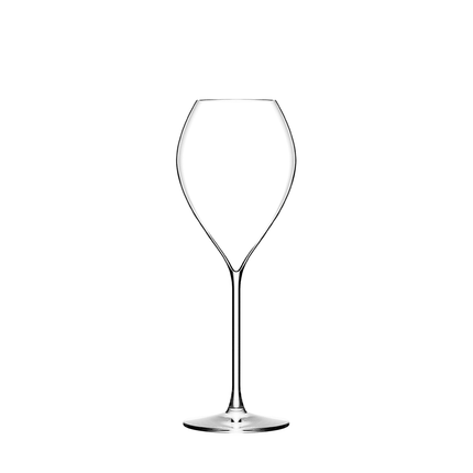 Lehmann GD Champagneglas 300 ml – stijlvol glas voor champagne en mousserende wijn

